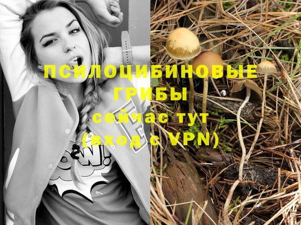гашик Михайловка