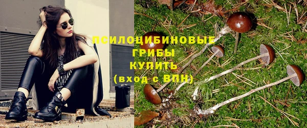 гашик Михайловка