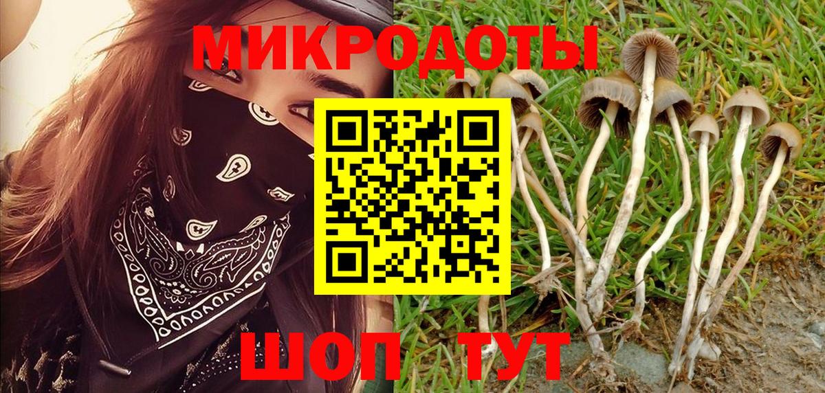 Галлюциногенные грибы Psilocybine cubensis  Каменск-Уральский 