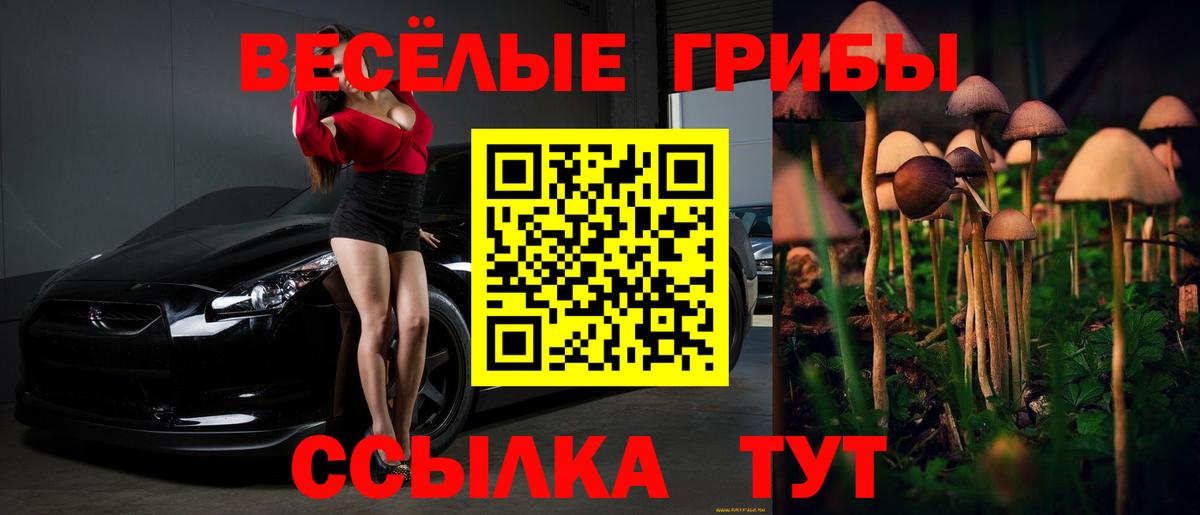 Псилоцибиновые грибы GOLDEN TEACHER  Вход с VPN  Каменск-Уральский 